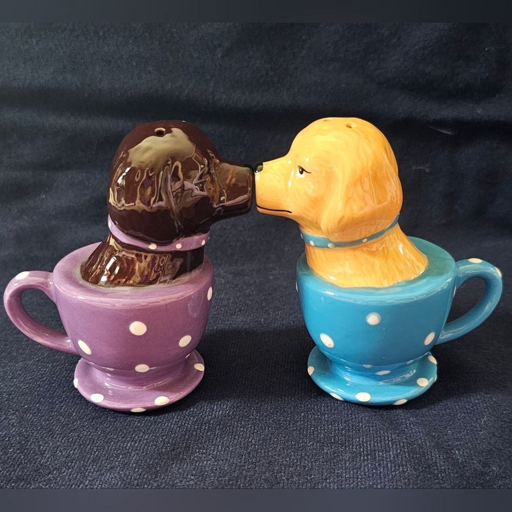 Salt n Pepper Shakers